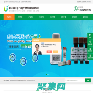 病毒细胞转染试剂-高效细胞转染试剂-和元李记(上海)生物技术有限公司