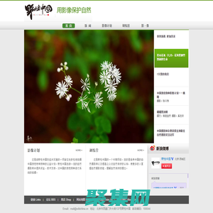 野性中国 · 用影像保护自然