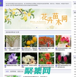 花卉苗木网_花草养殖_花语大全_养花知识_种花技巧