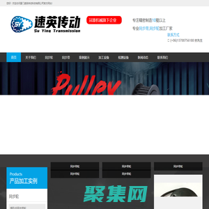 厦门速英传动科技有限公司