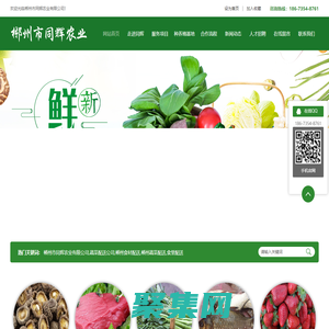 郴州市同辉农业有限公司_蔬菜配送公司|郴州食材配送|郴州蔬菜配送|食堂配送