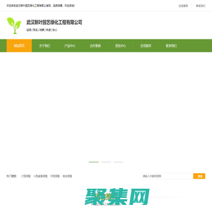 武汉新叶园艺绿化工程有限公司