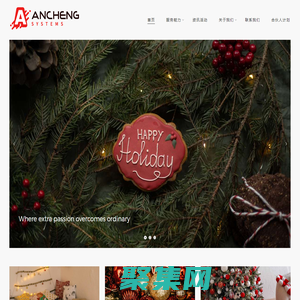 安成（深圳）信息技术有限公司-安成信息