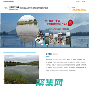 韶关老牌鱼苗场-鱼苗,13076209895