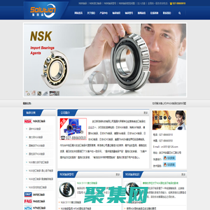 NSK轴承 NSK进口轴承 日本NSK轴承型号 NSK轴承中国总代理 -武汉斯洛森科技有限公司