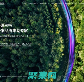 上海品牌策划公司-企业品牌设计-品牌营销策划咨询-蔚派VPA