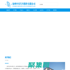 专业补胎材料-沧州中星汽车附件有限公司