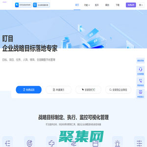 盯目 - 企业战略目标落地专家
