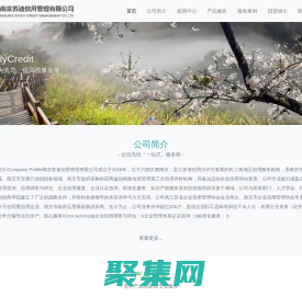 南京苏迪信用管理有限公司-企信无忧一站式服务商！