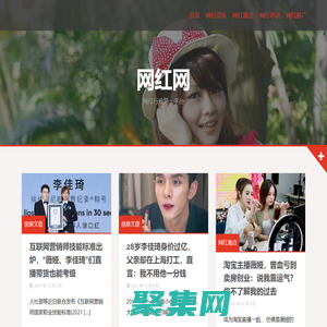 李子柒|李佳琦|薇娅-网红网